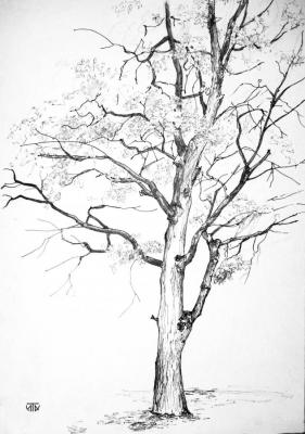 ������� �������