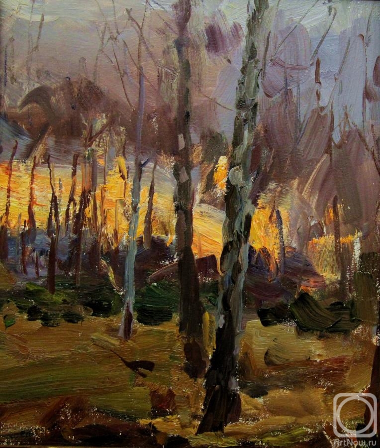 Gremitskikh Vladimir. Sunset in the forest