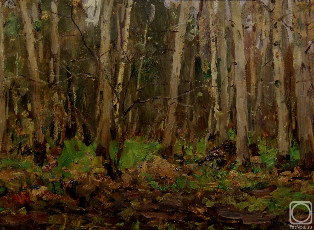 Gremitskikh Vladimir. Snowdrops in bloom