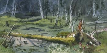 Swamp in the Bay Cross. Pugachev Pavel