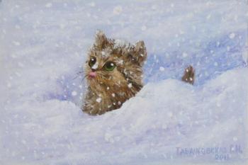 Kitten in the snow. Kudryashov Galina
