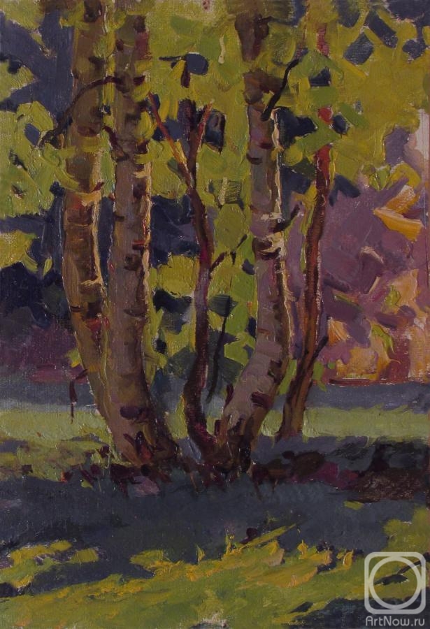 Belikov Vasilij. Summer birches