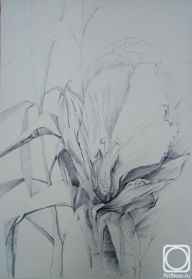 Troshina Tatiana. Mood2