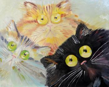 Surprised cats ( ). Efimova Ulya