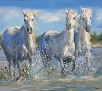 Three white horses