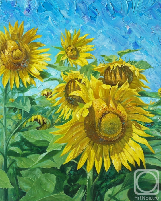 Zhaldak Edward. Sunflowers