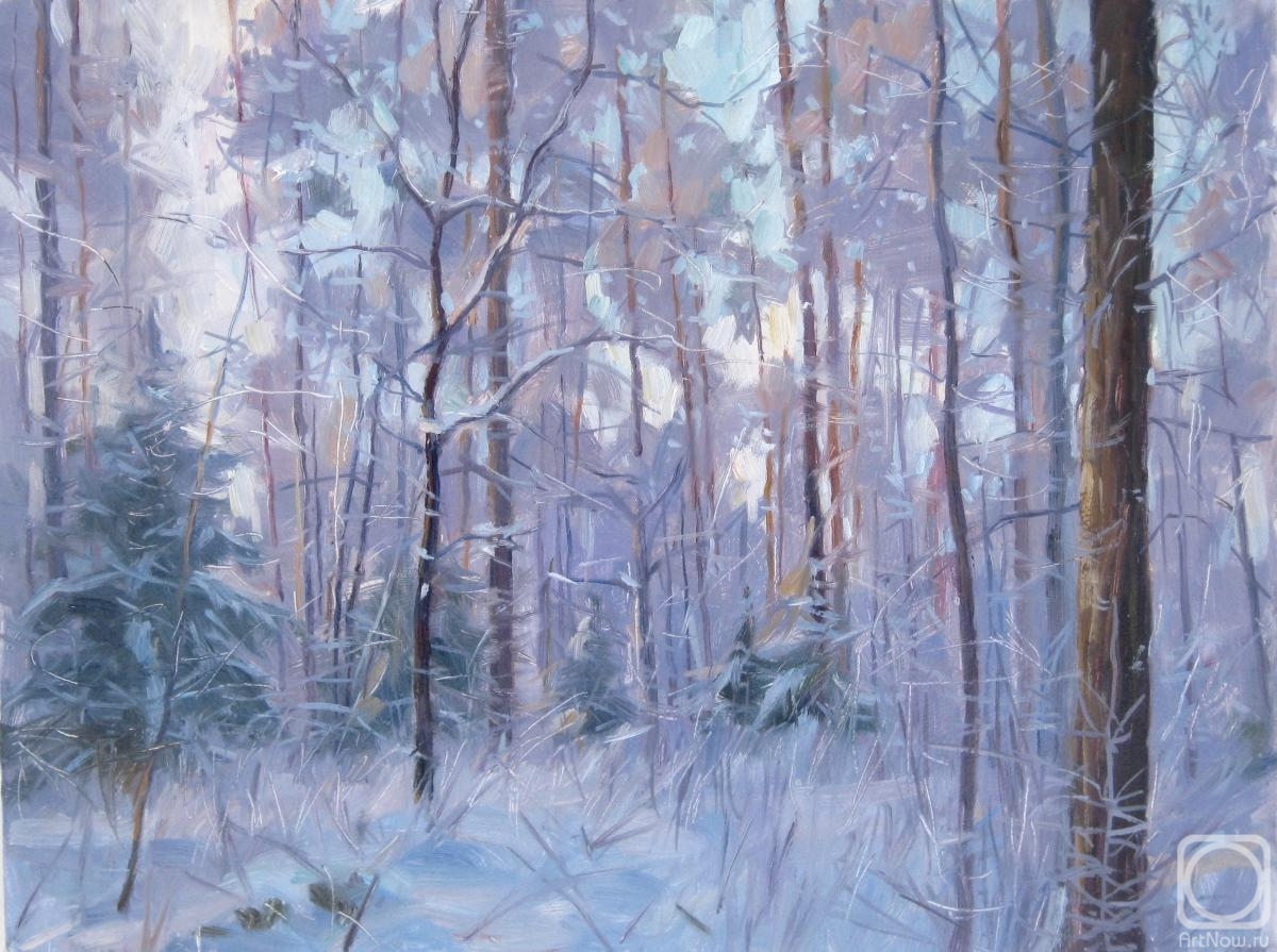 Voronov Vladimir. Winter in the forest