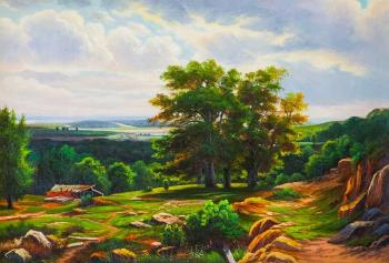 Copy of Ivan Shishkin's painting. View around düsseldorf