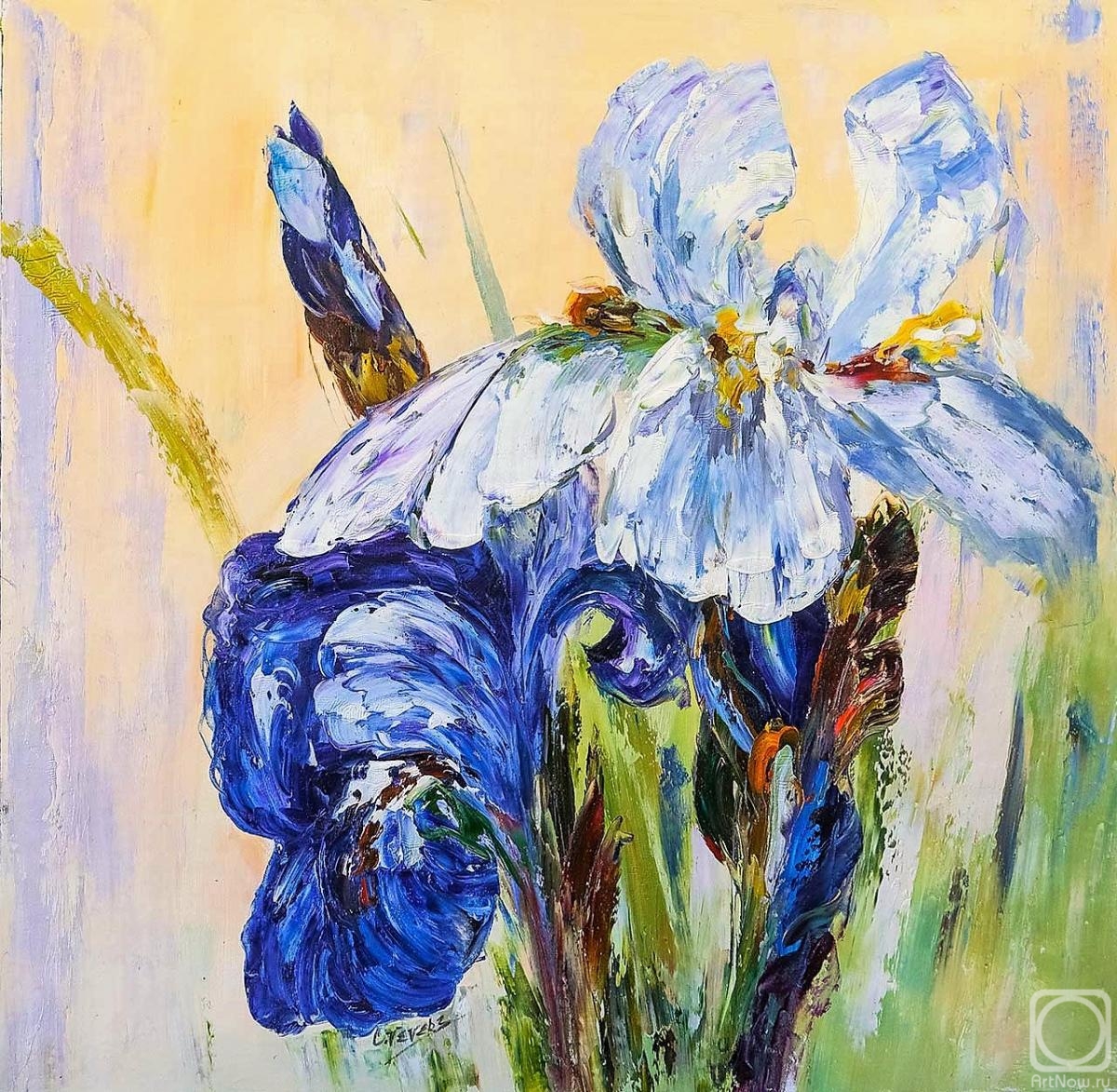 Vevers Christina. Bouquet of irises