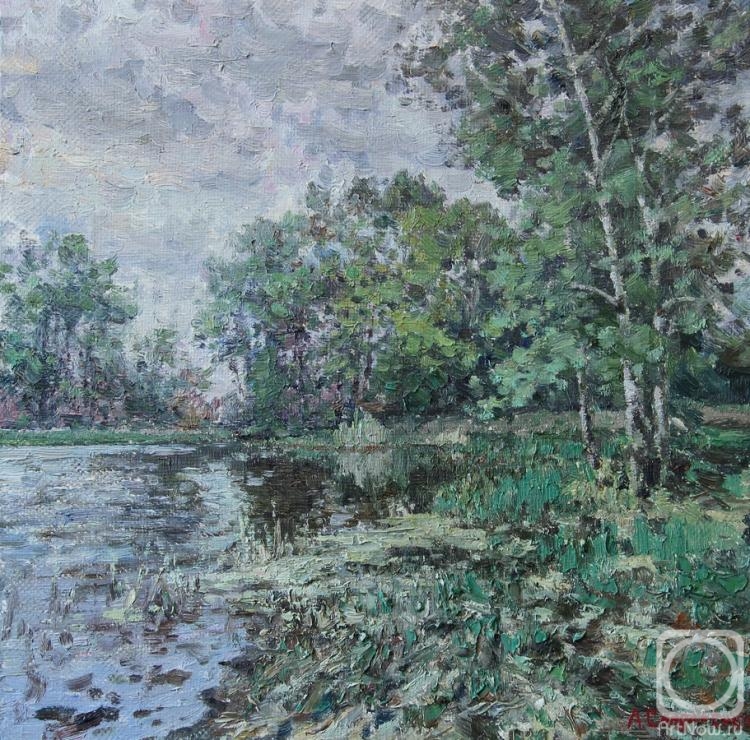 ������� ������ �� ������. ���������� ������. ������ ���� (��������� ����)