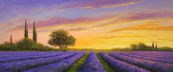 Landscape. Lavender fields. Zhaldak Edward