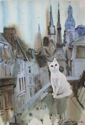 Kitty in the city. Schubert Albina