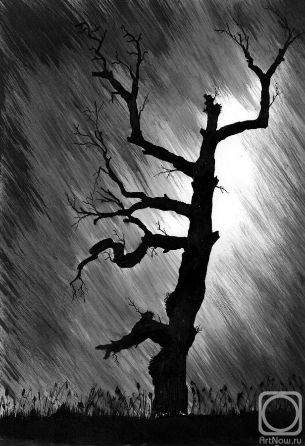 Abaimov Vladimir. Old Tree in a Thunderstorm