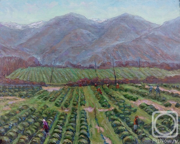 Abdullaev Vadim. On a tea plantation