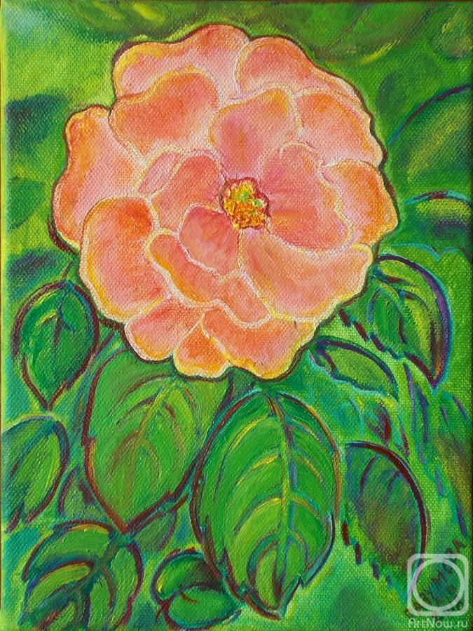 ������� ������ �� ������. �������� �����. ����� ����