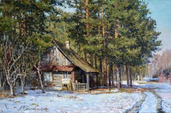 Forester's hut. Balakin Artem