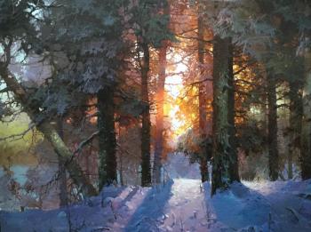 Evening in forest. Bykov Viktor
