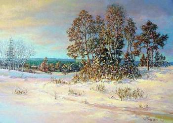 Winter morning. Panin Sergey