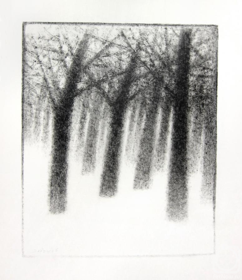 Dedushev Alexander. Winter forest