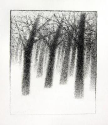 Winter forest. Dedushev Alexander