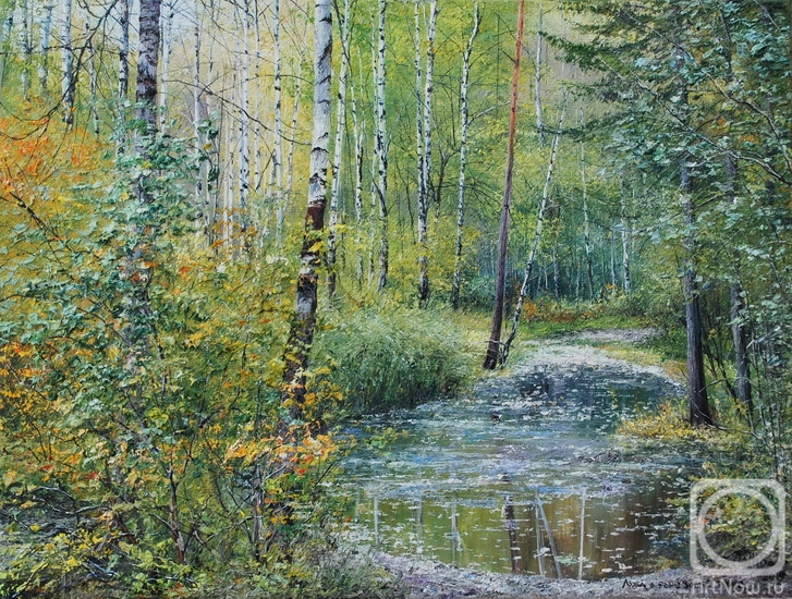 Vokhmin Ivan. Puddle in the Birch grove