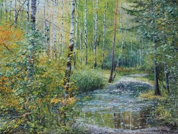 Puddle in the Birch grove. Vokhmin Ivan