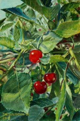 Three cherries. Kudryashov Galina