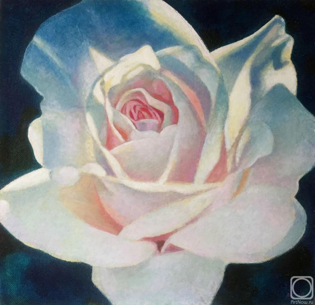 Gafarov Artur. White rose