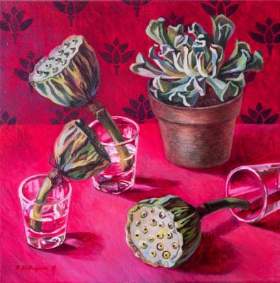 Succulent, lotus seed pods and a runaway cat