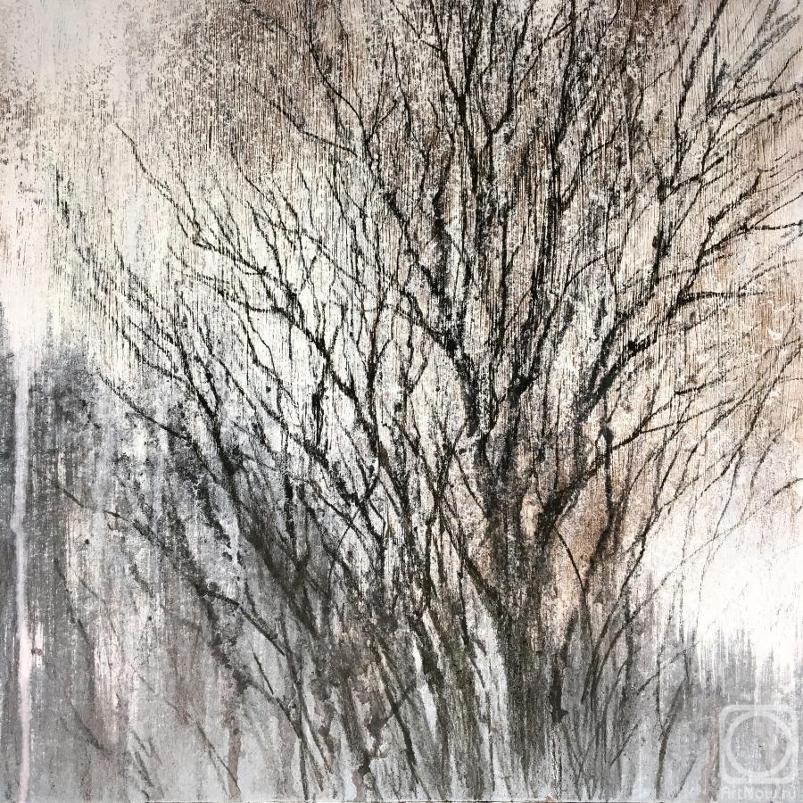 Shchepetnova Natalia. Graphics of winter trees