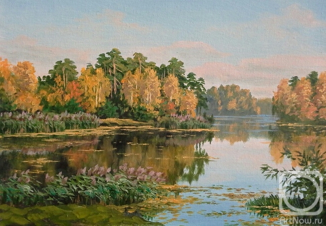 ������� ������ �� ������. �������� �����. ������� �����