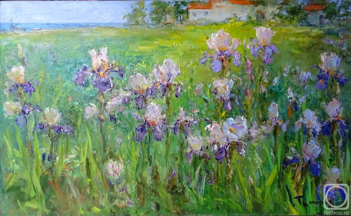 Zhumabaev Tuman. Irises