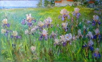 Irises. Zhumabaev Tuman