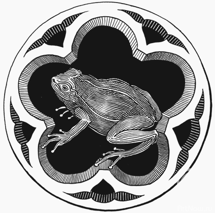 �������. �������� �������. ����