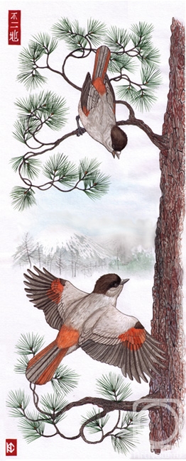 �������. ����� �������. �����