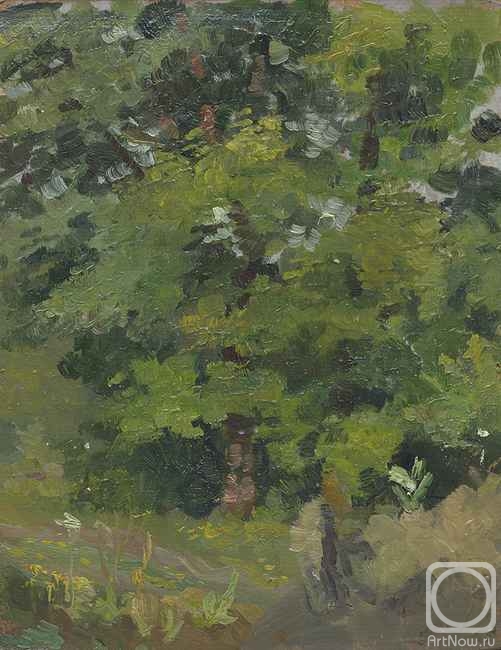 �������. ������ �����. ������ ����� (����)