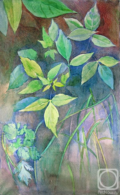 �������. �����-����� ����. �������� �����