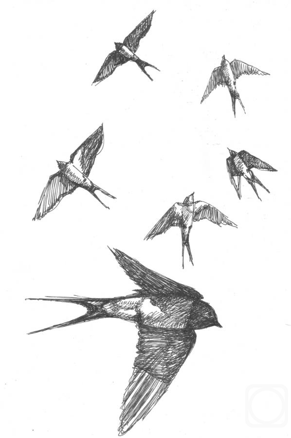 Belyakov Alexandr. Birds. Swallows