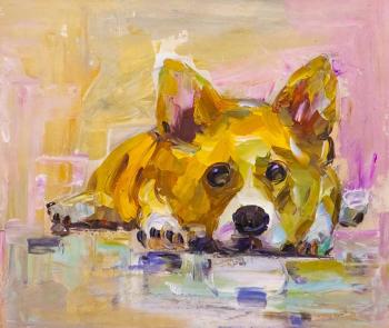 Corgi. Waiting for the owner of N5 (Expectation Of The Owner). Rodries Jose