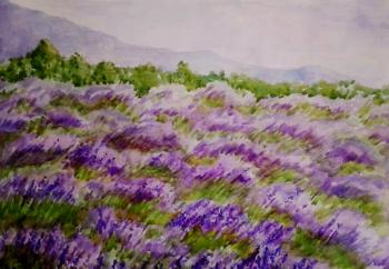 ���������� �����. ��������� �������