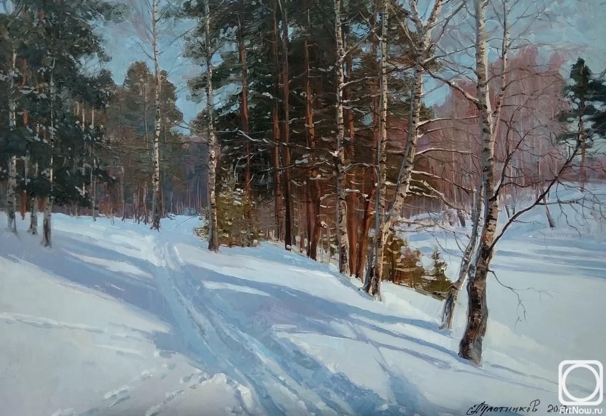 Plotnikov Alexander. Harinka. Frost and sun