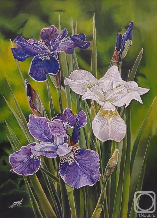 Savelyshkina Yulia. "Irises