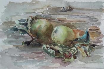 Apples in the garden. Klyan Elena