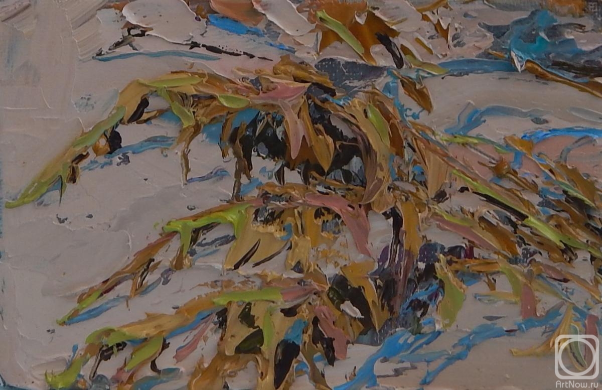 ������� ������ �� ������. ���������� �������. ����� �������� ����