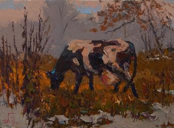 ������� ��������