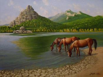 Horses at the watering. Upland. Litvinenko Gennadiy