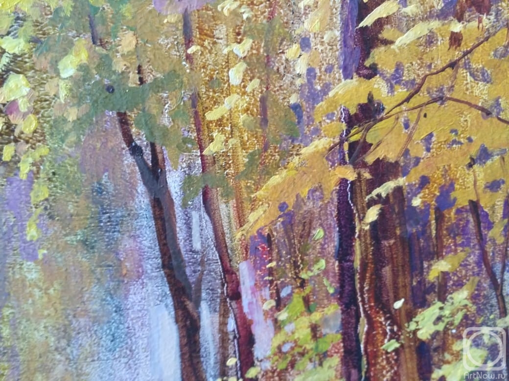 Shevtsova Oksana. Fall in Kuzminki Park