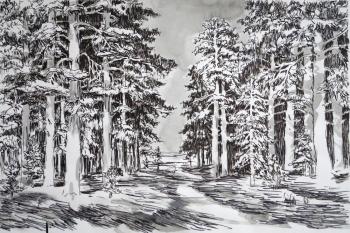 Pine forest. Borisov Mikhail