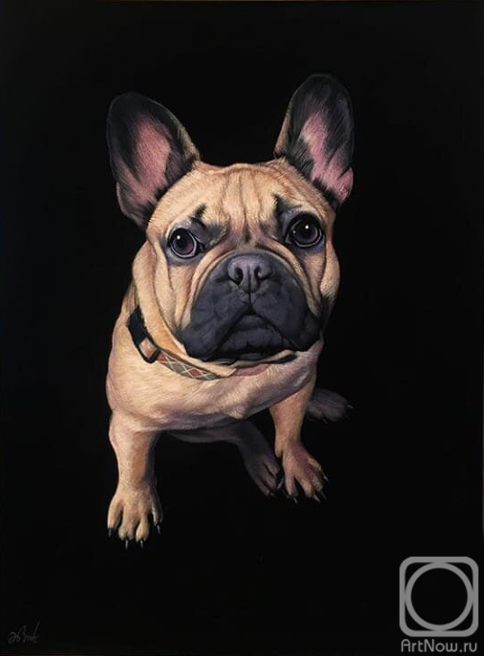 Ebzeev Shaharbi. Buddy