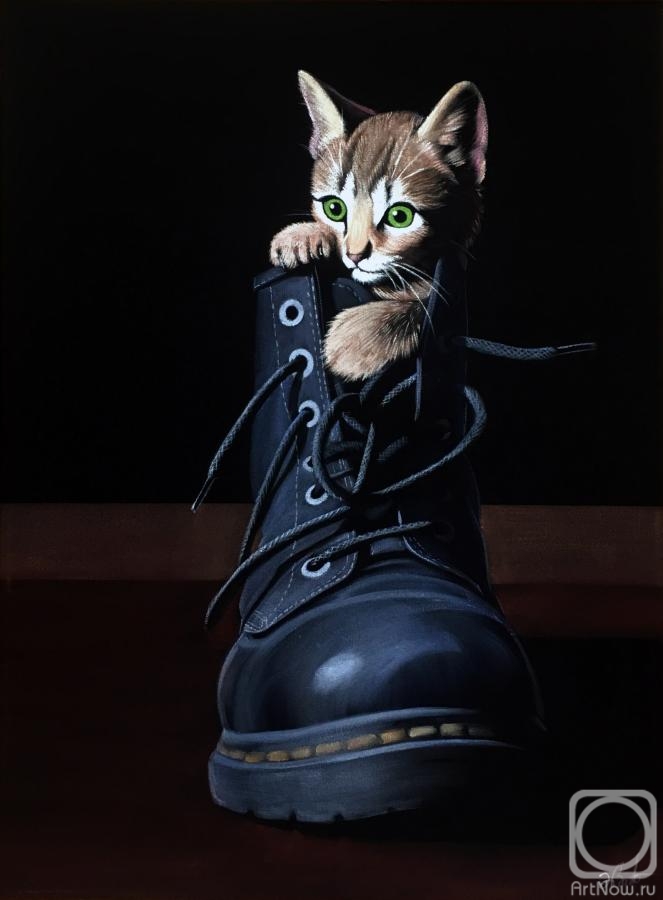 Ebzeev Shaharbi. Kitten in a shoe